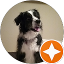 oni37 profile picture